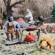 Набір фігурок Safari Ltd Toob Доісторичне життя у тубі, 12 шт 681004 - зображення 5