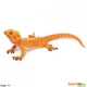 Ящірка Бородата агама, XL Safari Ltd 263129 - изображение 2