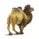 Двогорбий верблюд Safari Ltd 290929 - зображення 2