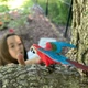 Птах Зелено-крилий попугай Ара Safari Ltd 263929 - зображення 5