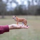 Бенгальська тигриця Safari Ltd 294529 - изображение 7