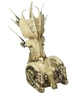 Диорама NECA Костяной Трон Хищник Toys Alien Vs Predator Skull Throne 35.6см (7073DA480396) - изображение 2
