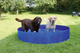 Басейн для собак Kerbl Dog Pool 80 х 20 см (4018653823989) - зображення 3