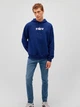 Худи мужское Mavi M0S10001-70722 L Темно-синее (8684080402514) - изображение 3