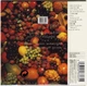 Компакт диск Toshiba EMI Ltd Kate Bush The Red Shoes Limited Edition TOCP-67821 Japan Mini Vinyl CD 4988006836655 - изображение 2