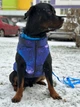 Курточка для собак WAUDOG Clothes с рисунком "NASA21", размер XS22 (0922-0148) - изображение 7