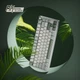 Клавиатура Игровая ROYAL KLUDGE R75 Бело-Салатовая Проводная Механическая, RGB Подсветка, С Поддержкой HOT-SWAP. Silver Switch - изображение 8