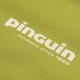 Самонадувний килимок Pinguin Nomad 50 NX Khaki хакі - изображение 6