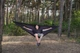 Гамак Levitate Ultralight black чорний - изображение 5
