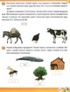 Рабочая тетрадь дошкольника. Осень. Старшая группа. 5-6 лет - Остапенко А. - изображение 3