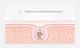 Полоска-пластырь для носа от черных точек Lanbena Deep Cleansing Nose Strips с бамбуковым углем 4мл - изображение 5