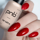 Гель лак PNB Tango 067 8 мл - изображение 3