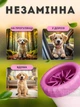Лапомийка зручна ємність для миття лап тварин Lapomover Soft Gentle середня (гумова, рожева) - зображення 5