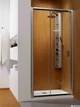 Душевая дверь RADAWAY PREMIUM PLUS DWJ 120 (33313-01-08N) - изображение 1