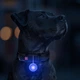 Фонарик для собак и кошек WAUDOG LED в силиконовом чехле, светящийся USB диаметр 37 мм (8882Collar) - изображение 6