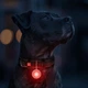 Фонарик для собак и кошек WAUDOG LED в силиконовом чехле, светящийся USB диаметр 37 мм (8882Collar) - изображение 7