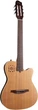 Классическая гитара Godin Multiac Nylon Encore Natural SG - изображение 2