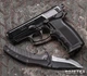 Пистолет СЕМ ПТФ-1 (16620295) - изображение 3