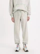 Спортивные штаны утепленные мужские Levi`s 762171279 2XL Серые (1159815325) - изображение 1