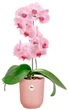 Вазон Elho Vibes Fold Orchid High 13 см Рожевий (527693) - зображення 2