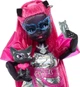 Кукла Монстер Хай Кэтти Нуар Monster High Catty Noir - изображение 3