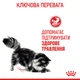 Консервований корм Royal Canin Digest Sensitive Care wet in gravy 85 г (4076001) - зображення 4