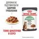 Консервований корм Royal Canin Digest Sensitive Care wet in gravy 85 г (4076001) - зображення 5