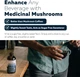 Рідкий грибний комплекс преміум-класу Triquetra Health MycoMax Mushroom Liquid Extract Complex 240 мл - зображення 4