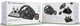 Проводной руль TURTLE BEACH VelocityOne Race (PC, Xbox One, Xbox Series S, Xbox Series X) - изображение 10