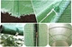 Парник теплица Garden Line 10 м² 400x250 см с оцинкованным каркасом и защитной пленкой зеленая - изображение 7