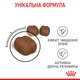Сухой корм Royal Canin Dental Care для предотвращения зубного налета у кошек 8 кг (25320800) - изображение 6