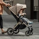 Прогулянкова коляска El Camino Dynamic Pro модель 2024 (Ель Каміно Дінамік ПРО) ME 1053G-2 Special Beige - зображення 3