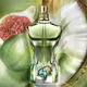 Woda perfumowana męska Jean Paul Gaultier Le Beau Paradise Garden 125 ml (8435415091275) - obraz 3