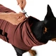 Пуховик для собак Noble Pet Bobby M - зображення 7