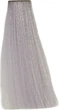 Крем-краска корректор безаммиачная Inebrya Bionic Color Silver Toner 100 мл (8033219161875) - изображение 2