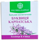 Бальзам Буквиця Карпатська Рослина Карпат при варикозному розширенні вен та тромбофлебіті, флакон 50 мл - изображение 1