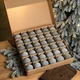 Набір новорічних куль "Оксамит" 18 шт. Нюдовий Сірий D-8см. Подарунковий набір ялинкових кульок Кульки на ялинку - зображення 3