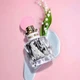 Парфумована вода для жінок Miu Miu Fleur D'Argent Absolue 50 мл - зображення 3