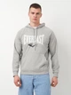 Худи мужское Everlast Cappuccio Felpa 37M297D80-M000 L Серое (8052995734950) - изображение 1