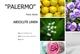 Аромадиффузор парфумований Kot'e PALERMO Absolute Linen 100 мл - изображение 2