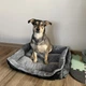 Лежак для собак и кошек Purlov Bed For Pets 60 х 45 см с бортами (24288) - изображение 5