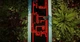 Гра The Forest Cathedral для ПК (Ключ активації Steam) - изображение 2