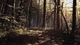 Гра Blair Witch для ПК (Ключ активації Steam) - изображение 4