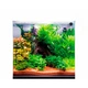 Аквариум из ультрабелого стекла Dupla Scaping Cube 80 45x45x40см (80892) - изображение 6