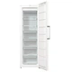 Морозильная камера Gorenje FN 619 EEW5 - изображение 5