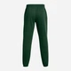 Спортивные штаны утепленные мужские Under Armour Ua Essential Fleece Jogger 1373882-301 XL Зеленые (197777221629) - изображение 7