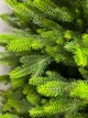 Искусственная литая новогодняя елка с салатовыми кончиками №7 высотой 2.5 м сложная из полимера рождественская пышная елка со складной металлической подставкой для дома Зеленый - изображение 3