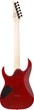 Електрогітара IBANEZ RG421PB CHF (230535) - изображение 2