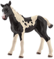 Figurka do gry Schleich Łaciaty źrebak 8 cm (4059433498799) - obraz 1