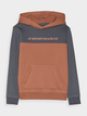 Худі на флісі дитяче 4F SWEATSHIRT M1222 158 Оранжевий 4FJWAW24TSWSM1222-65S - изображение 5